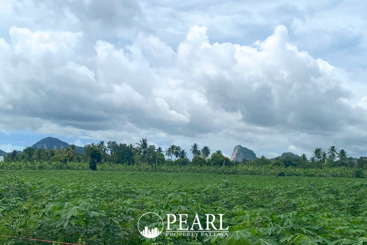 Land for Sale in L Pattaya