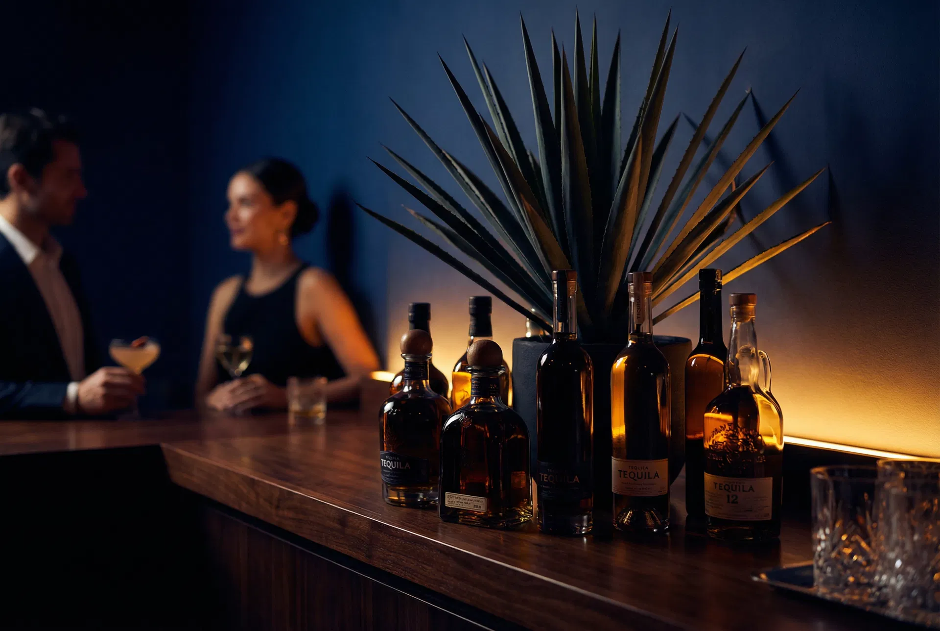 El Jimador tequila campaign — moody bar setting with agave and bottles