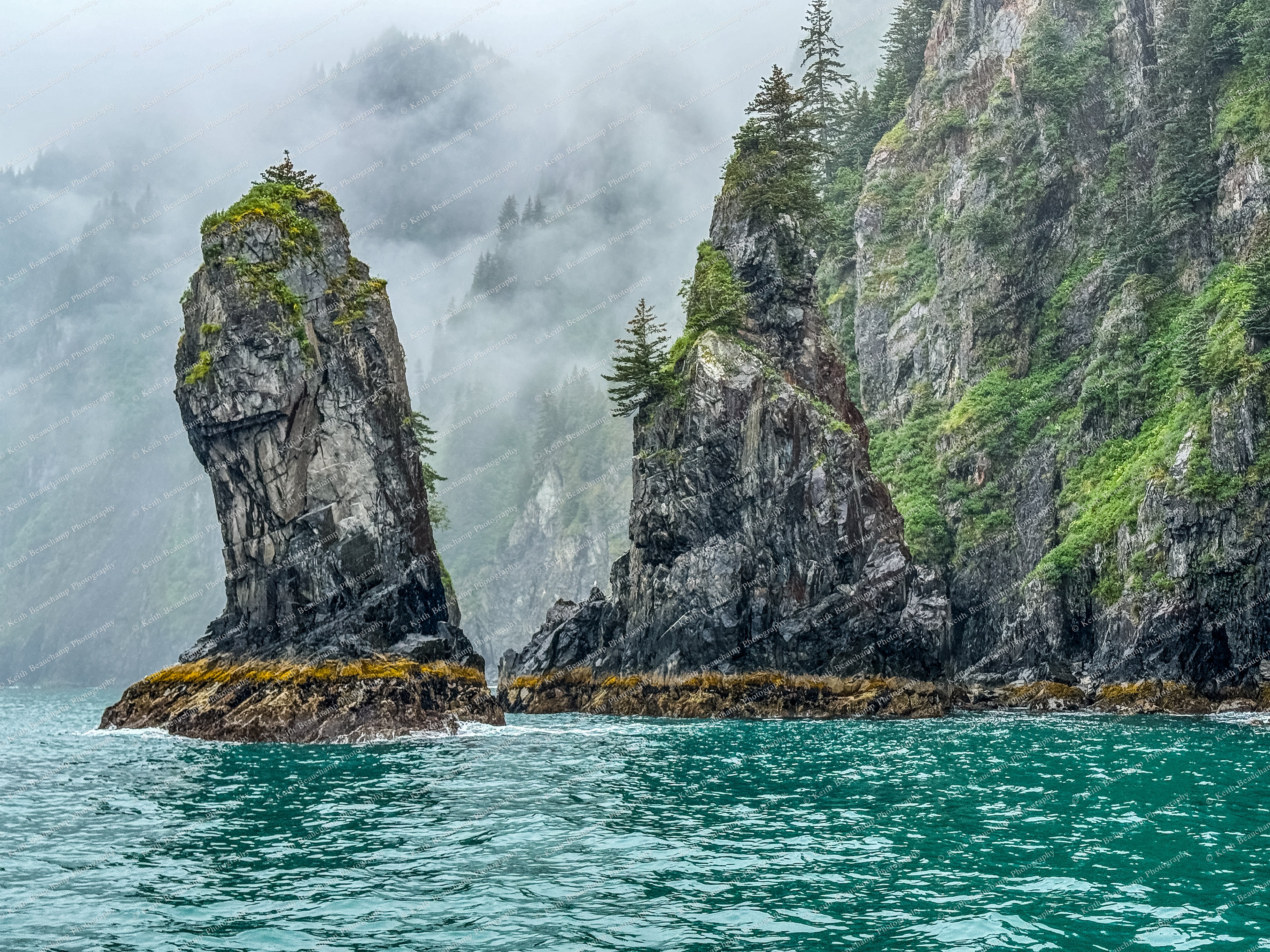 Photo Jul 15 2024, 2 39 15 PM