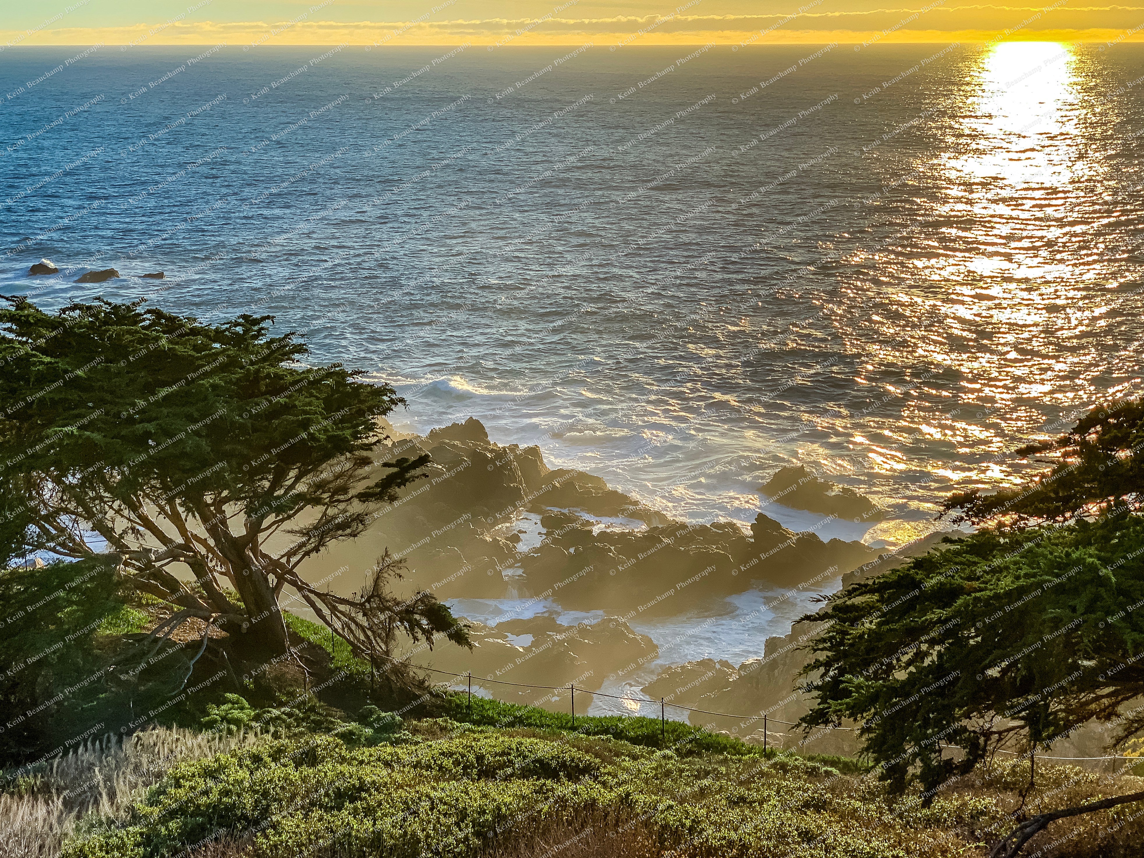 Pacific Coast Highway