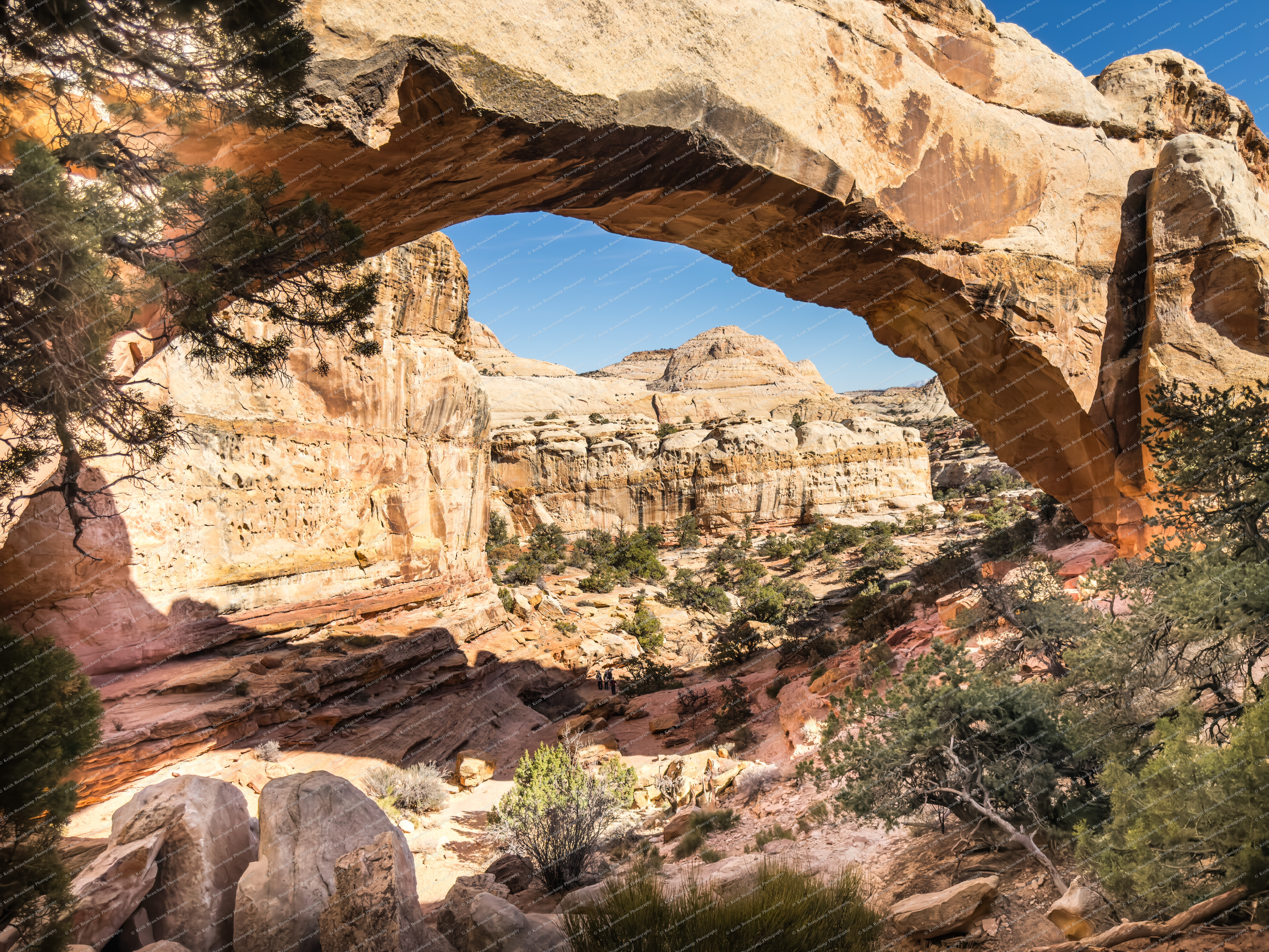 Hickman Natural Bridge - Capital Reef NP