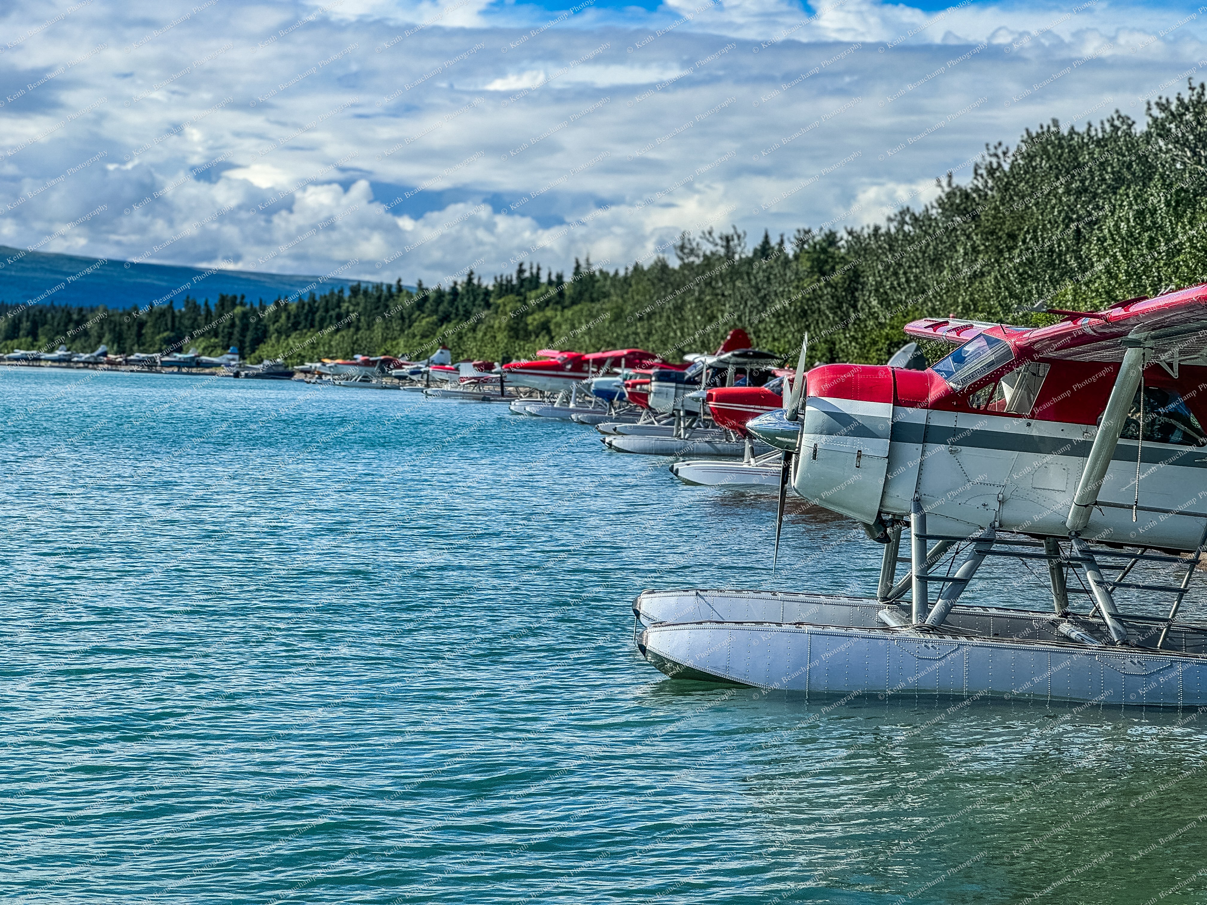 Photo Jul 19 2024, 11 32 47 AM