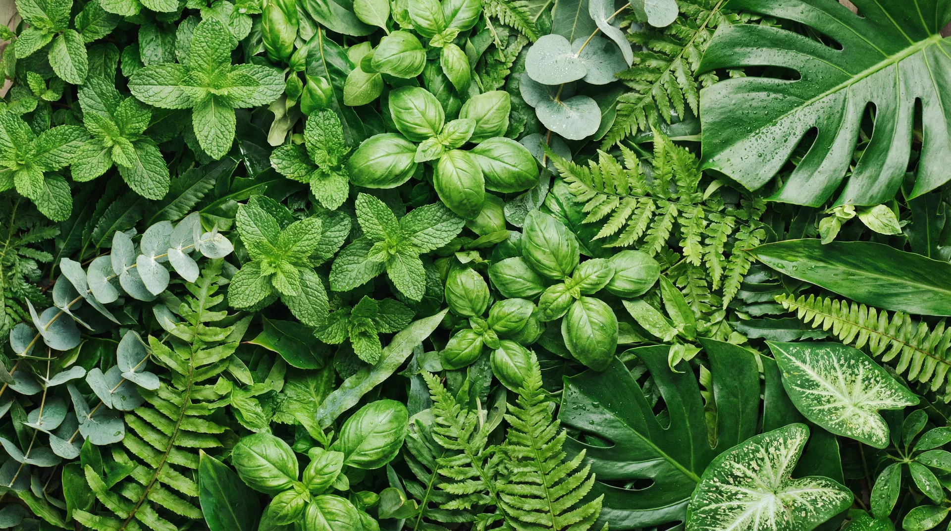 From Nature to Nature