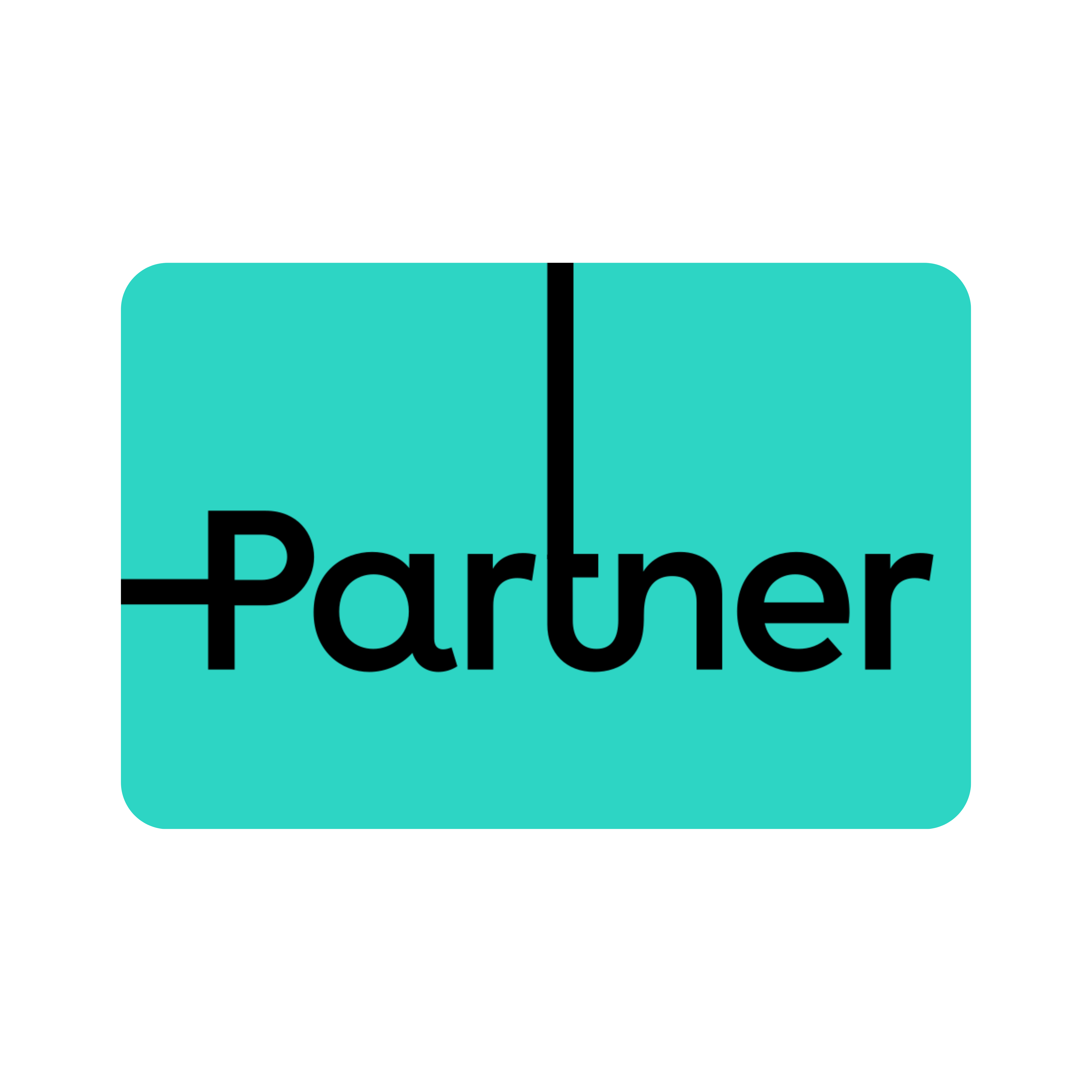 Partner