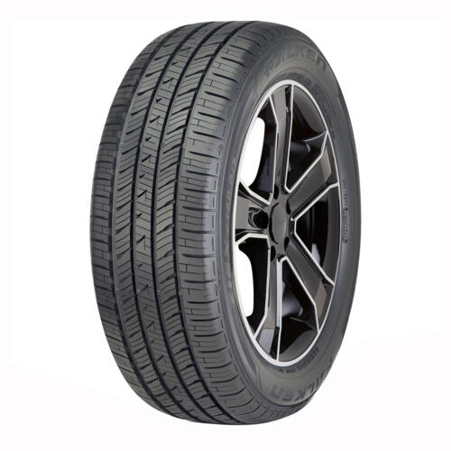 FALKEN ZIEX CT60AS 255/50/19/107/V