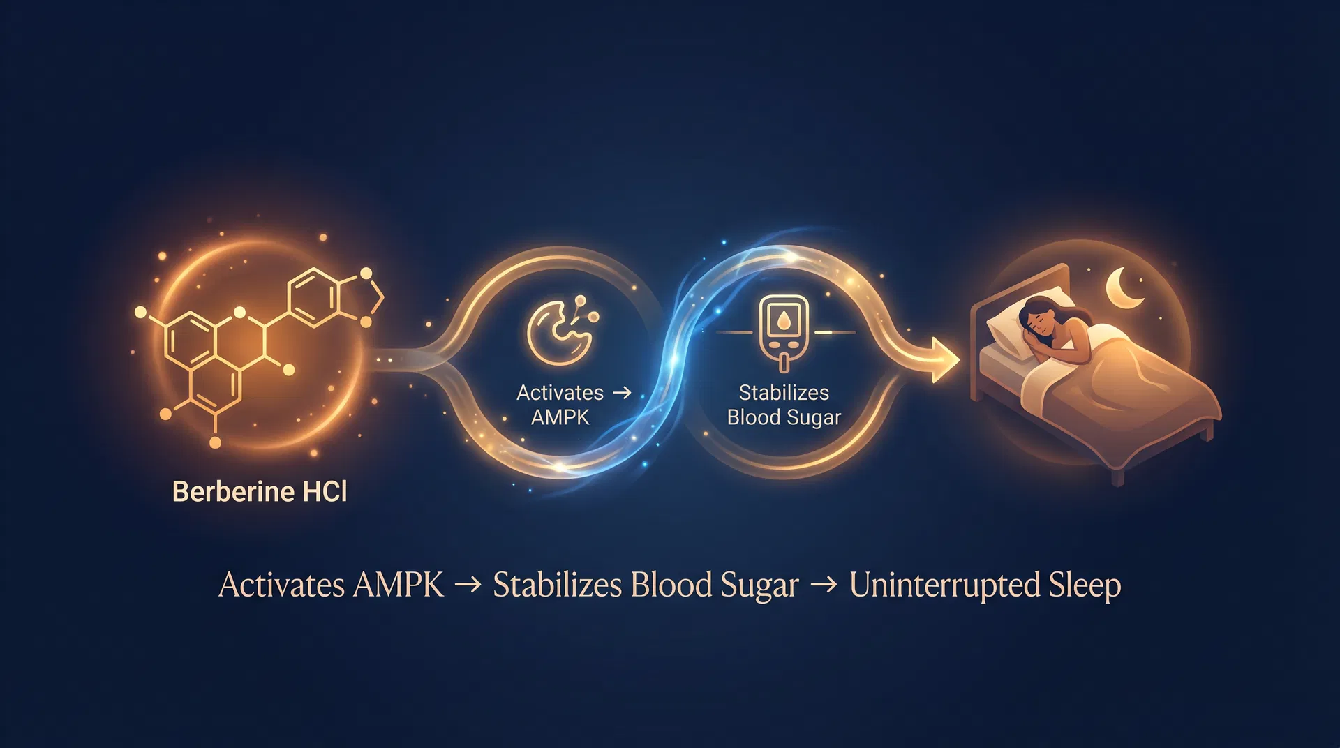 Berberine HCl - The Metabolic Master Switch