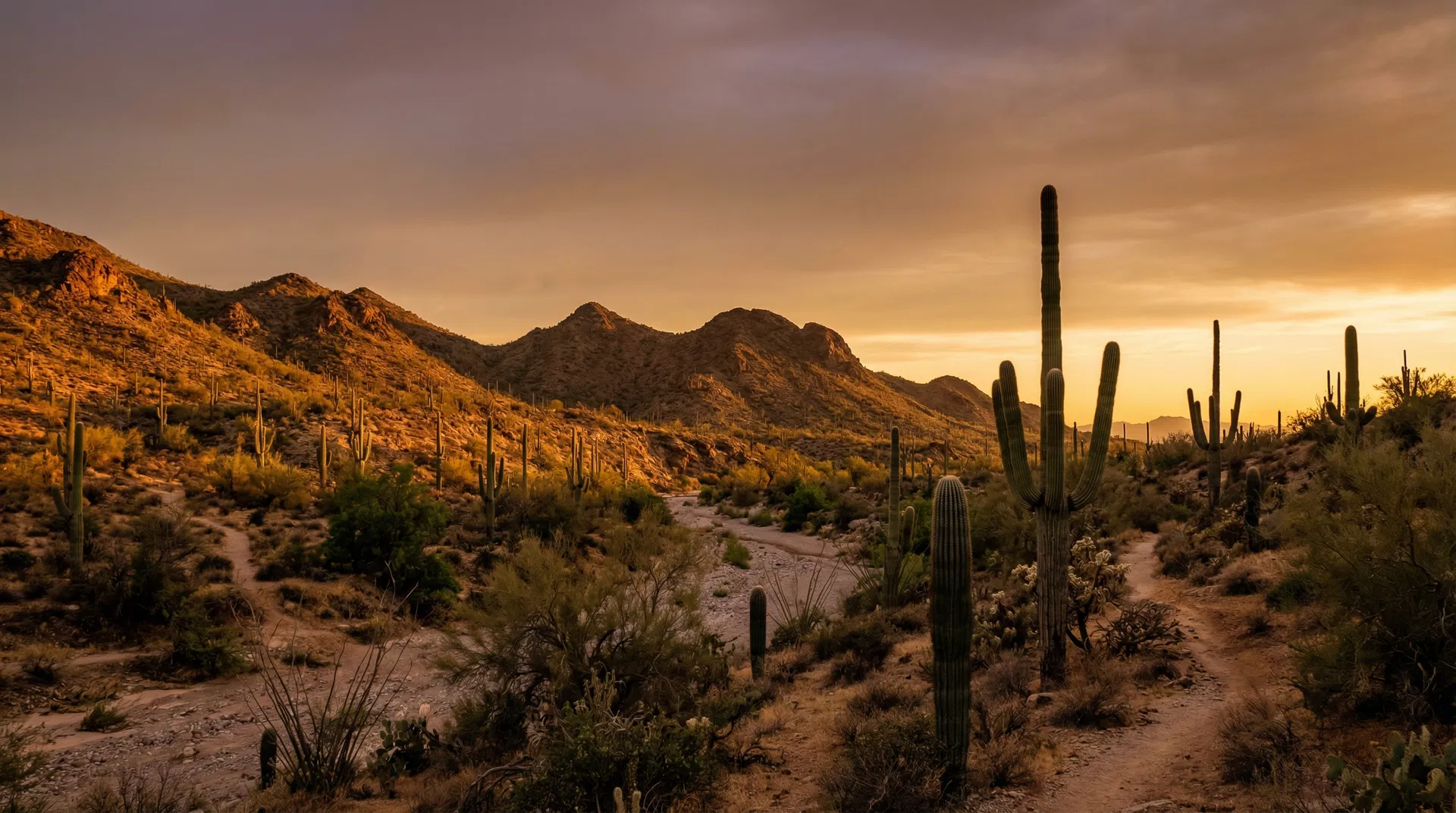 Beautiful Arizona Southwest landscape scenery with desert aesthetic