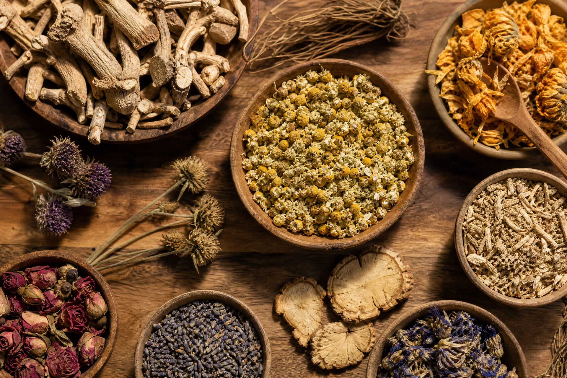Natural herbs and roots used in traditional women's health