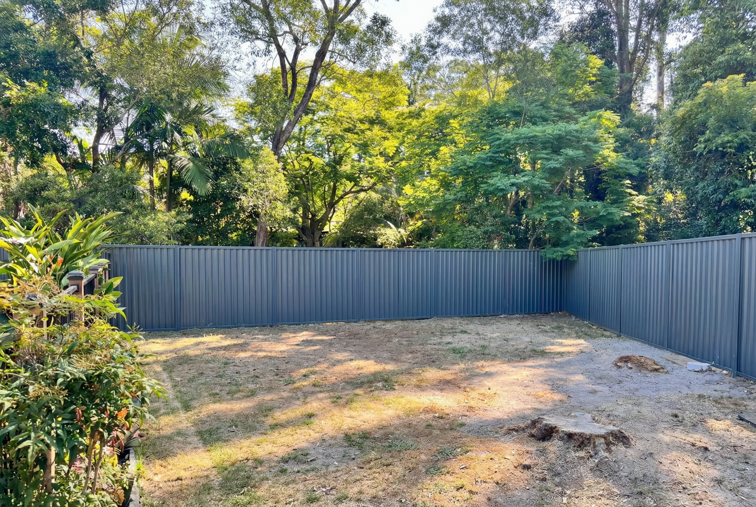 Before โ empty backyard