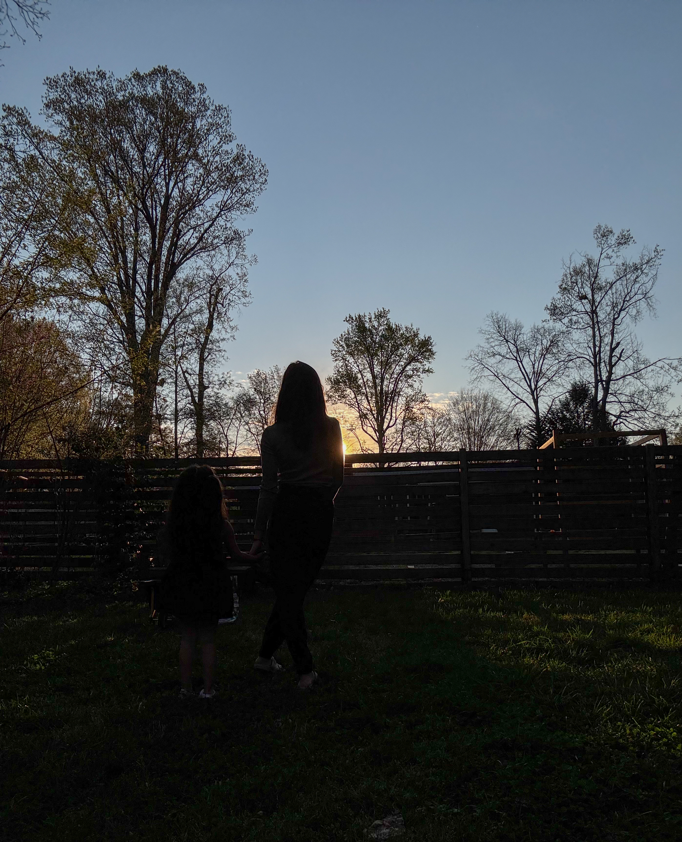 Spring Mini Sessions in Charlotte, NC — Everything You Need to Know