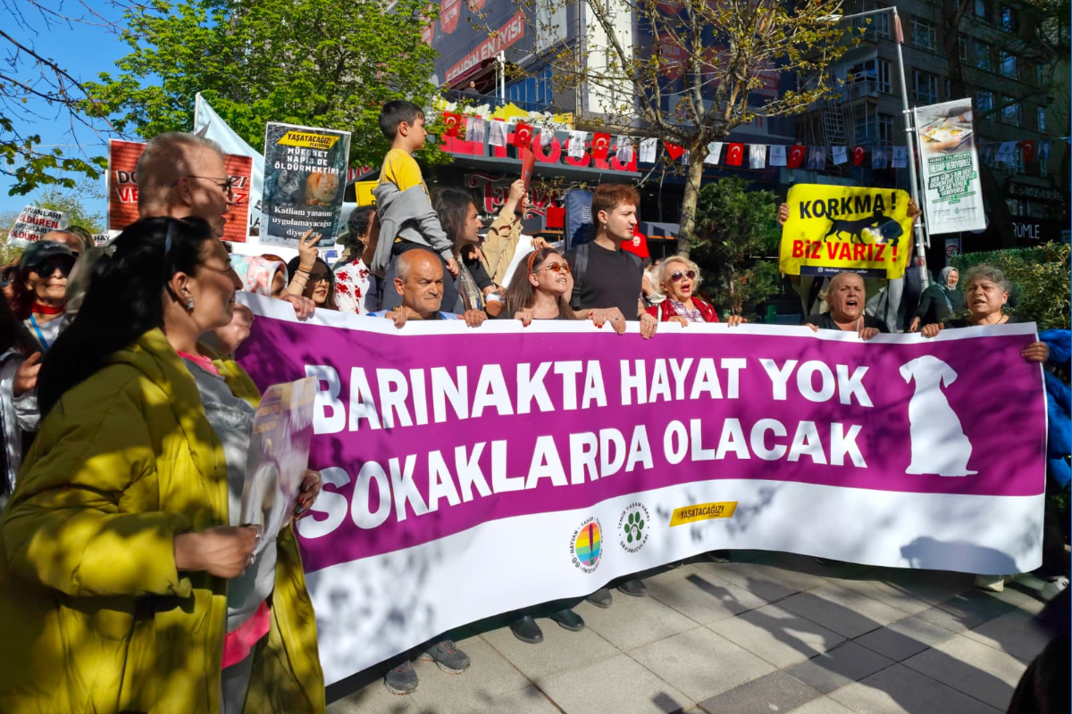 Barınaklar Ölüm Kampı mı? Hayvanseverler Ankara'da Sesini Yükseltti!