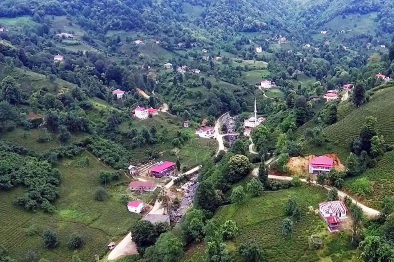 Arhavi'nin 'Turizm Yolu' Aldatmacası: Maden Lobisi Doğa Katliamına Hazırlanıyor!
