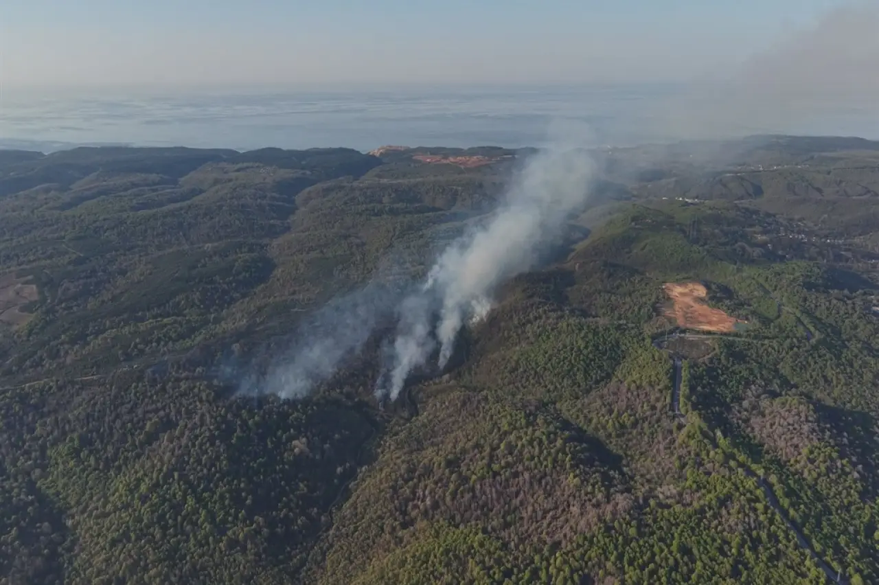 Beykoz'da Küller Arasında Kalan Gerçek: 'Kontrol Altında' Denilen Yangının Bilançosu Ağırlaşıyor