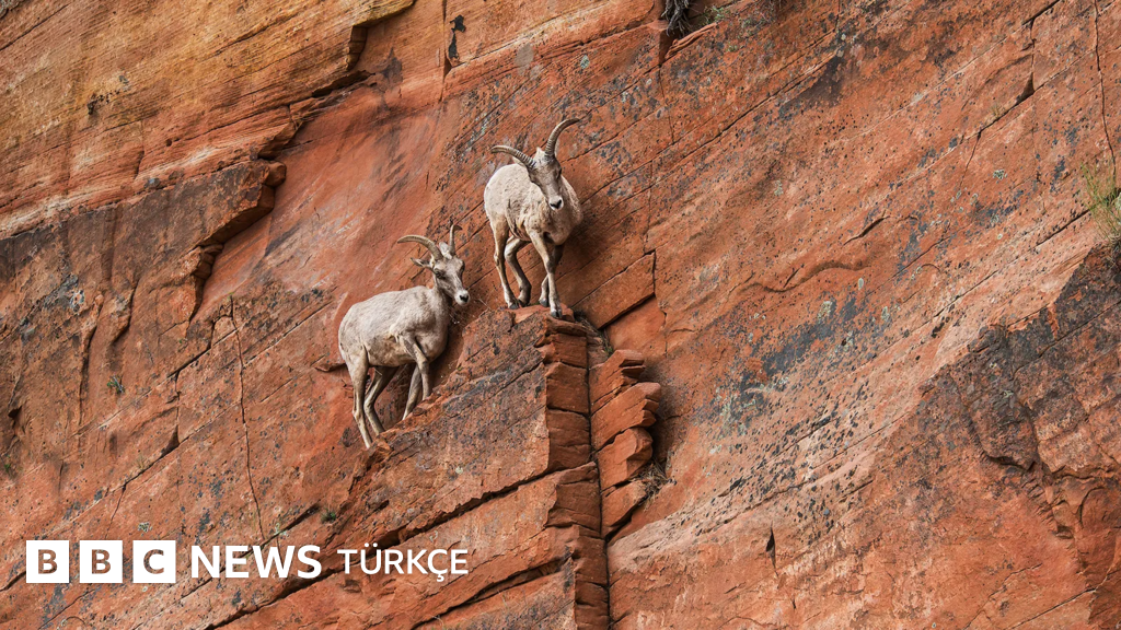 İktidarın 'Çalkantılı Zamanlar' Söylemi: Halkın Gerçek Kaygıları Nasıl Göz Ardı Ediliyor?