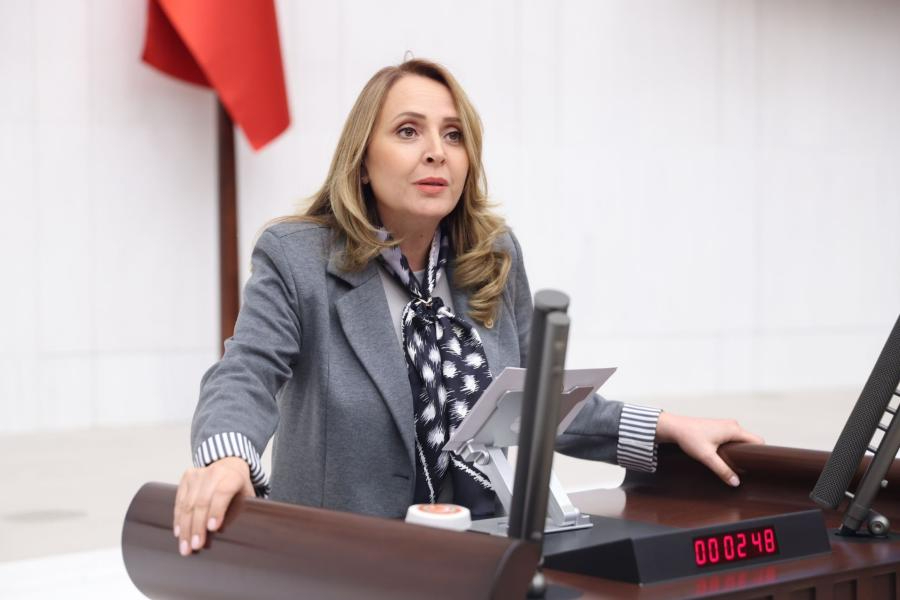 CHP'den 'Aile ve Nüfus On Yılı' Kararına Meclis Araştırması Talebi