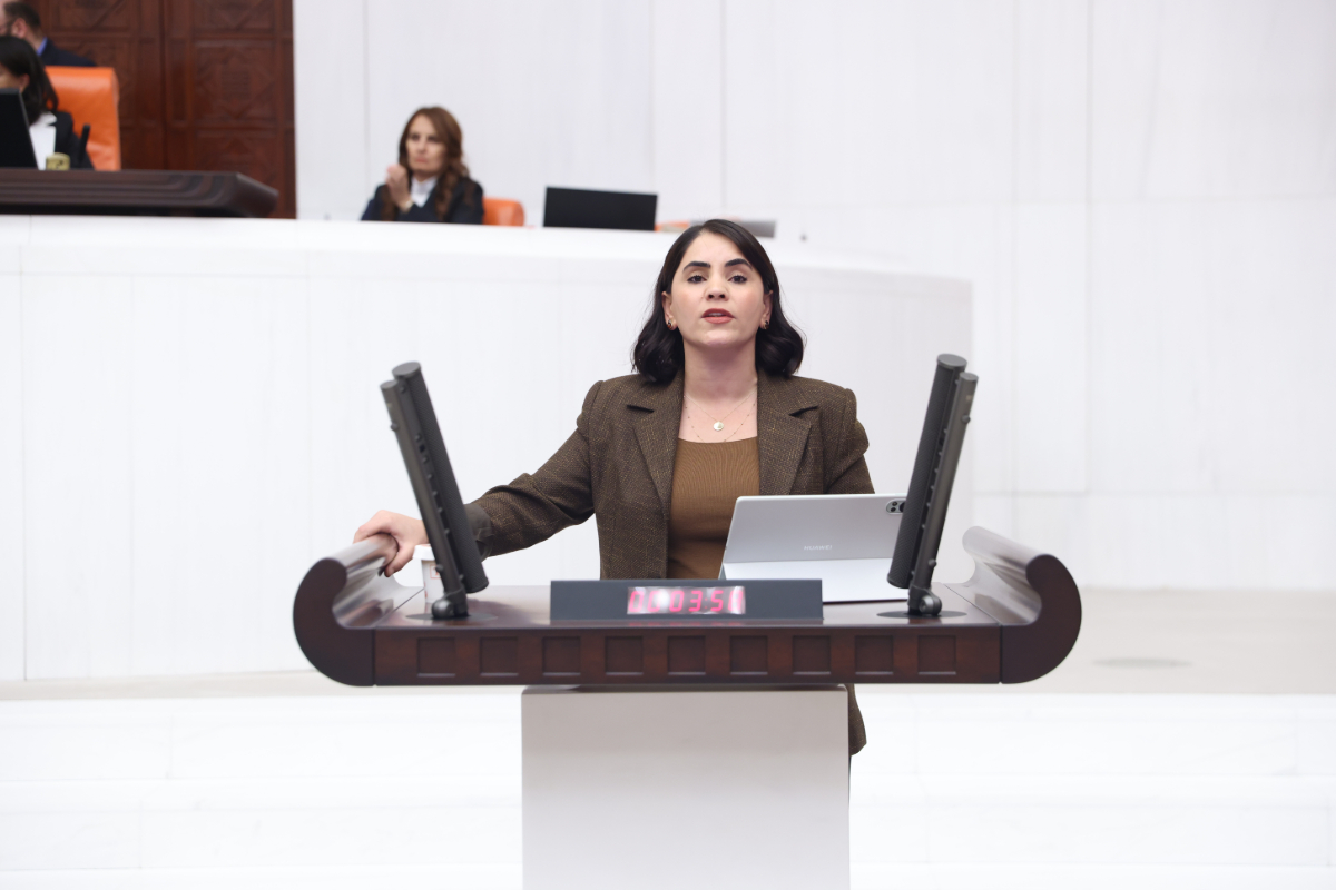 Dumlu Cezaevi'nde İnsanlık Onuru Ayaklar Altında: Mahpuslar Hücre, Açlık ve Cezayla Yüzleşiyor