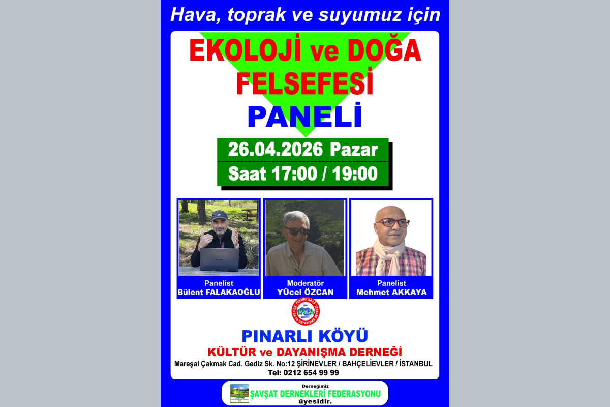 Artvin Şavşat'ta Doğa Talanına Karşı Felsefi Direniş: Pınarlı Köyü Ses Veriyor