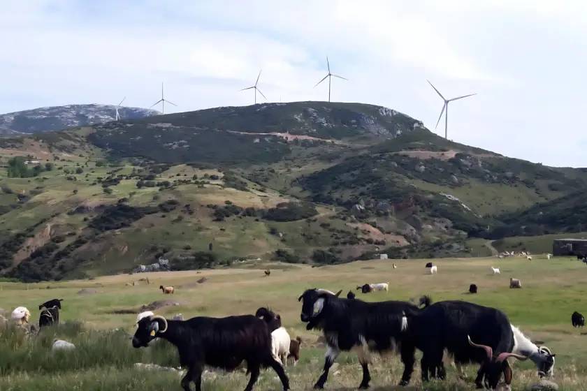 Yaylaköy Kuşatması Derinleşiyor: RES'lerden Sonra GES Tehdidi, Halkın Geleceği Ne Olacak?