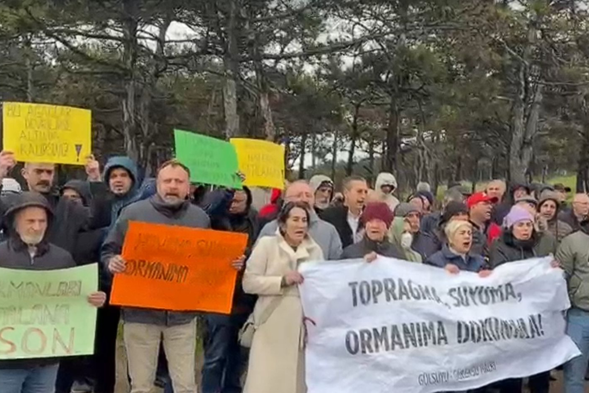 Gülensu Ormanı Ranta Kurban Ediliyor: Halkın Çığlığı Duyulmuyor mu?