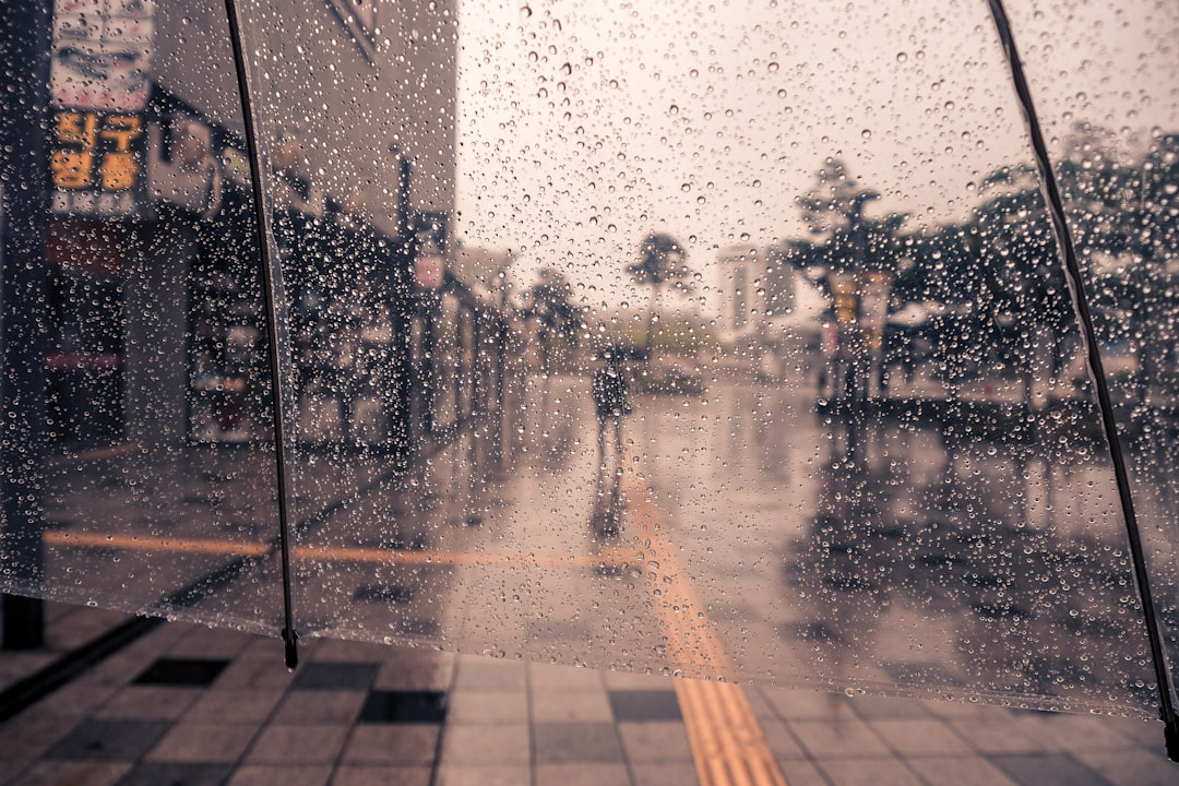 Meteoroloji'den Yağış Uyarısı: İklim Krizi ve Altyapı Yetersizliği Gündemde!