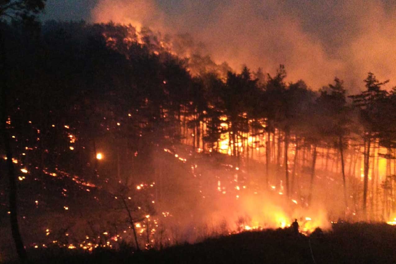 Doğa Katliamının Küresel Yüzü: Japonya'daki Yangınlar İklim Krizi Gerçeğini Bir Kez Daha Ortaya Koydu