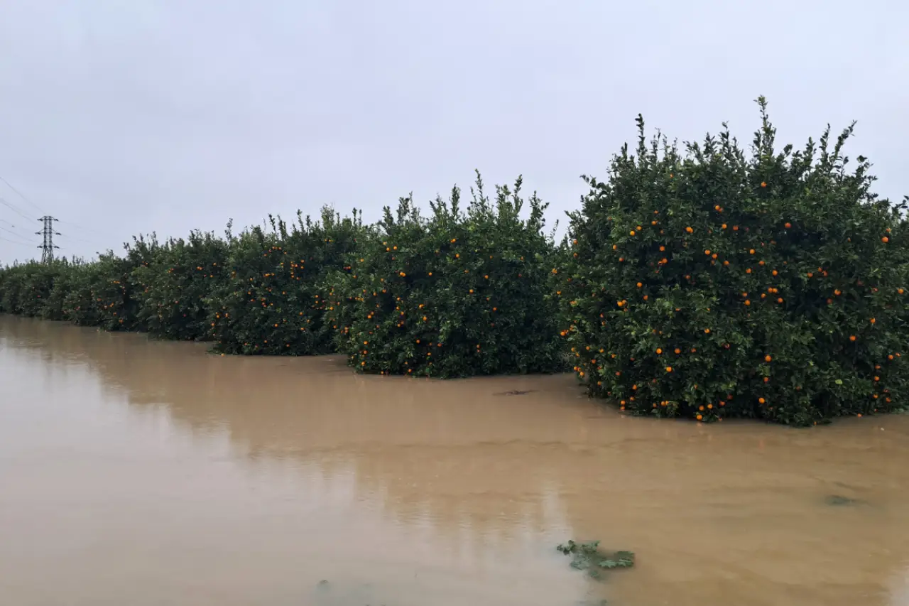 Karadeniz'deki Sel Felaketleri: 'Doğanın Kaderi Değil, Rantın Kederi' Mi?