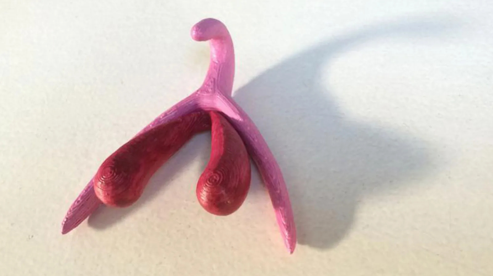 Klitorisin Sinir Haritası Çıkarıldı: Kadın Hazzı Bilimi Neden Bu Kadar Gecikti?