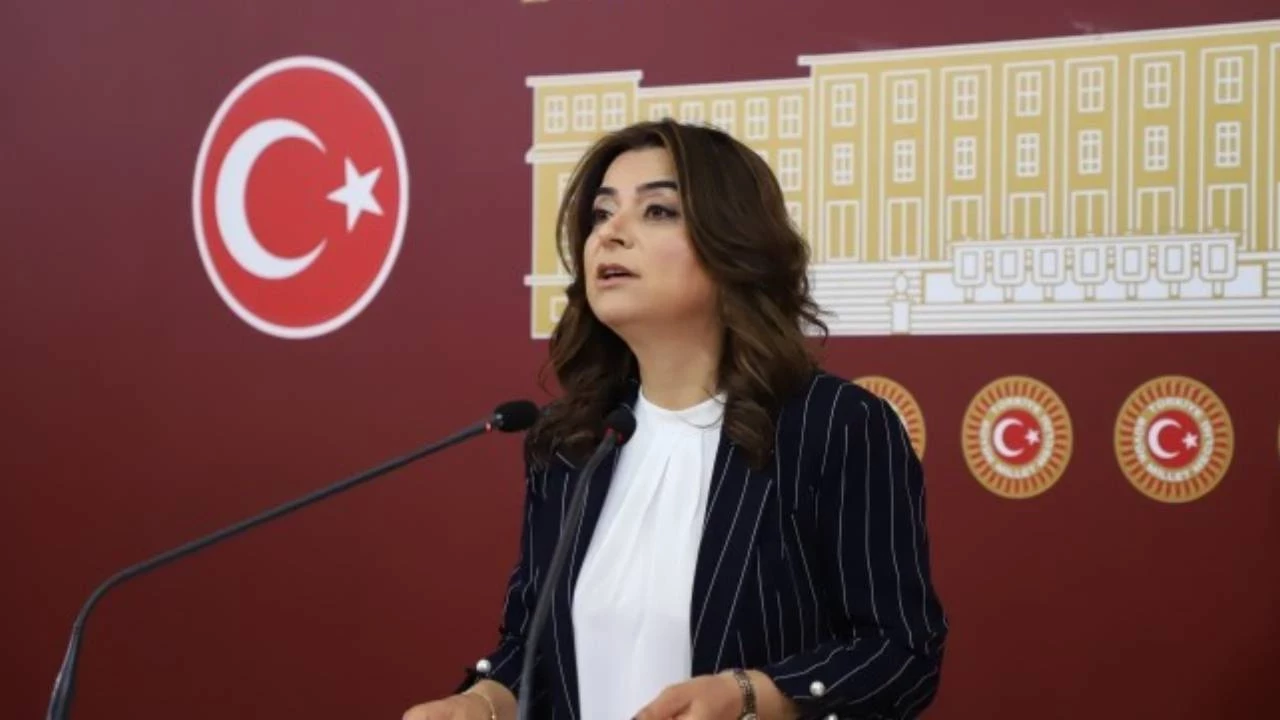 Sözler Havada Kaldı: Hükümetin Yasal Düzenleme Vaadi Neden Tutulmadı?