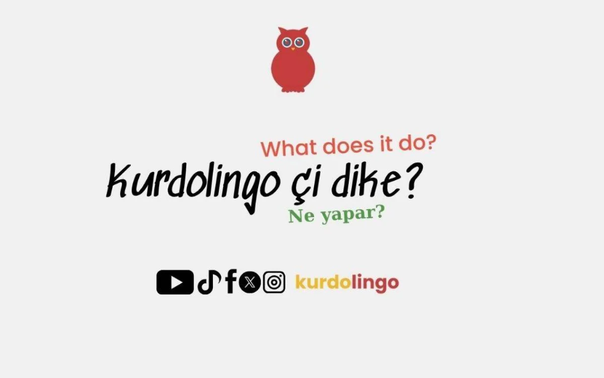 Kürtçe Öğrenimine Dijital Çözüm: Halkın Talepleri Yapay Zeka ile mi Karşılanıyor?