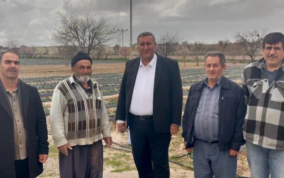 Niğdeli Çilek Üreticilerinin Feryadı: Borç Batağı Tarlaları Yutuyor!