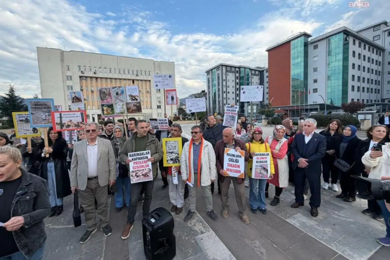 Rize'deki Barınak Skandalı: Hayvanlar Ölüme mi Terk Edildi?