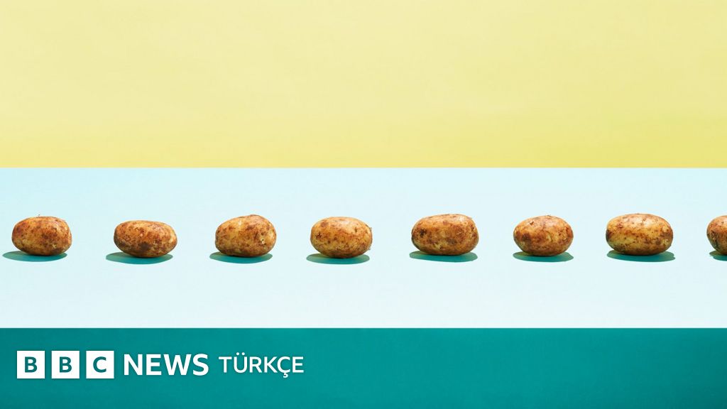 Sağlıklı Beslenme Lüks Değil, Hak Olmalı: Uzmanlar Enflasyon Gölgesinde Uygun Fiyatlı Gıdaları İşaret Ediyor