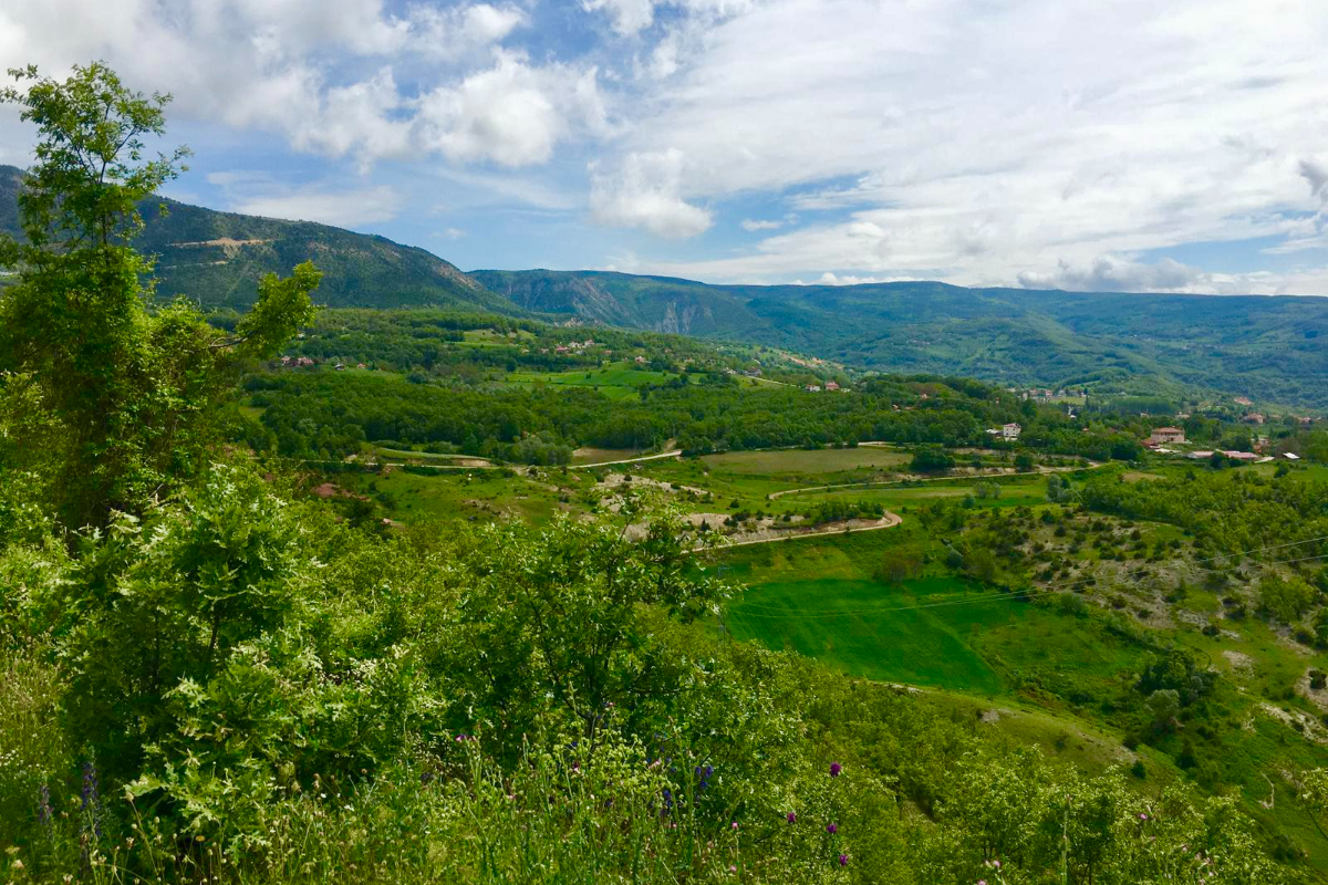 Tokat'ta Doğa Katliamına Hukuk Dur Dedi: 60 Bin Ağaç Kurtuldu!