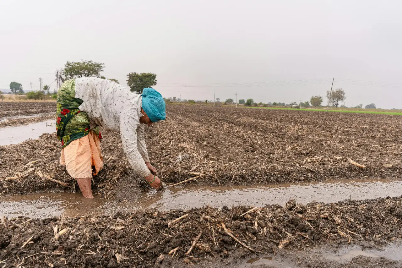 Niğde'de Elma Üreticisi Çaresiz: Don ve Fahiş Maliyetler Karşısında TARSİM'den Beklenen Destek Nerede?
