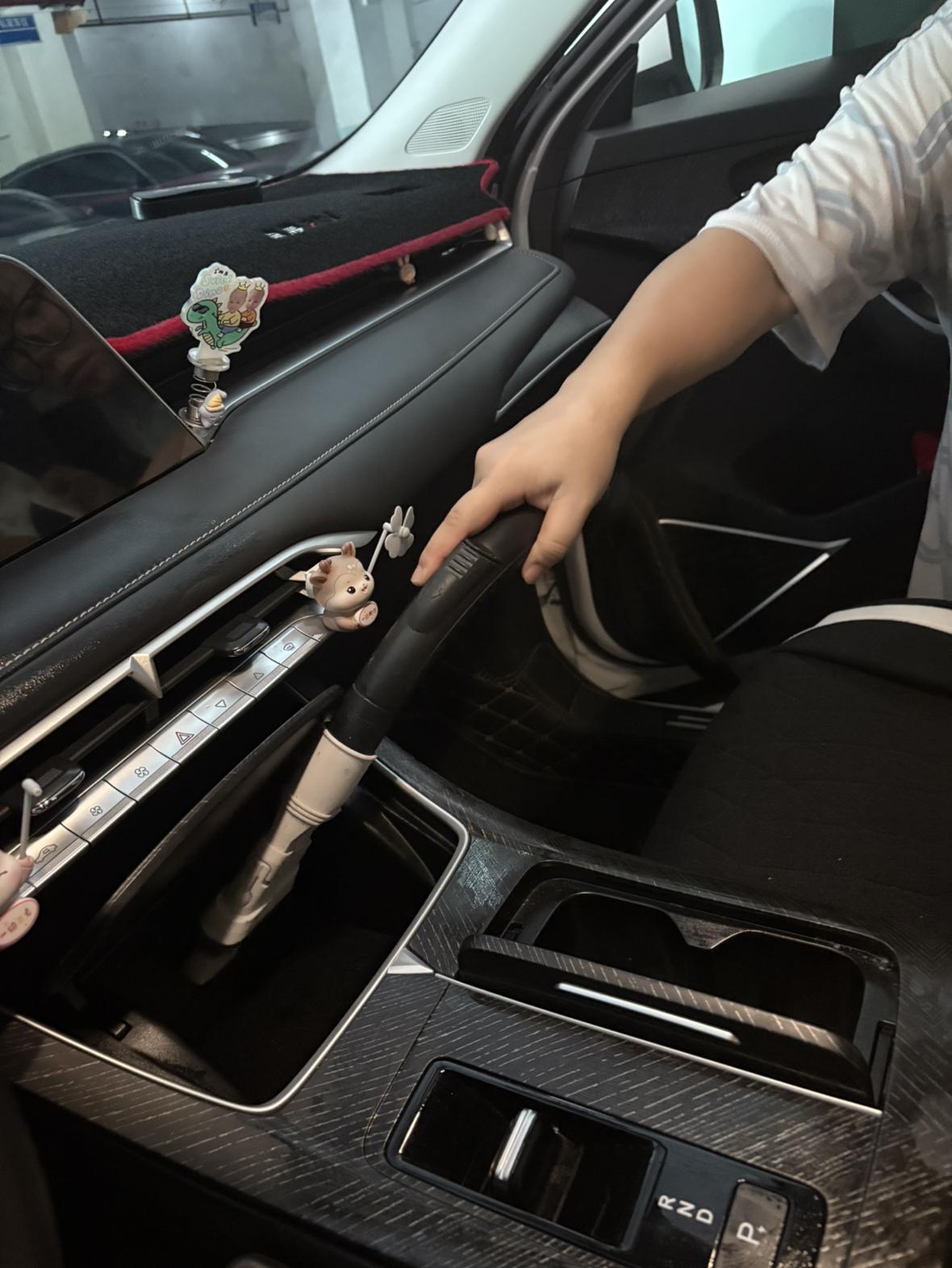 車內螞蟻入侵完整處理指南：從根源清除到防蟲藥劑正確使用