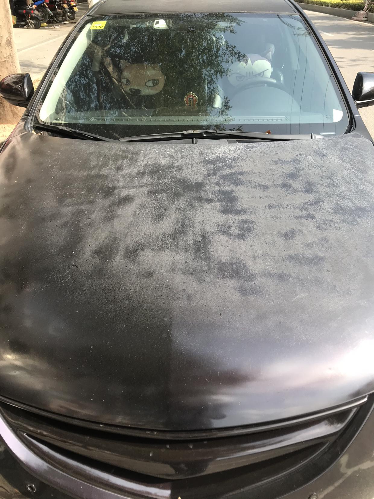 拋光前必做的金油（透明漆）厚度檢測與漆況評估完整指南