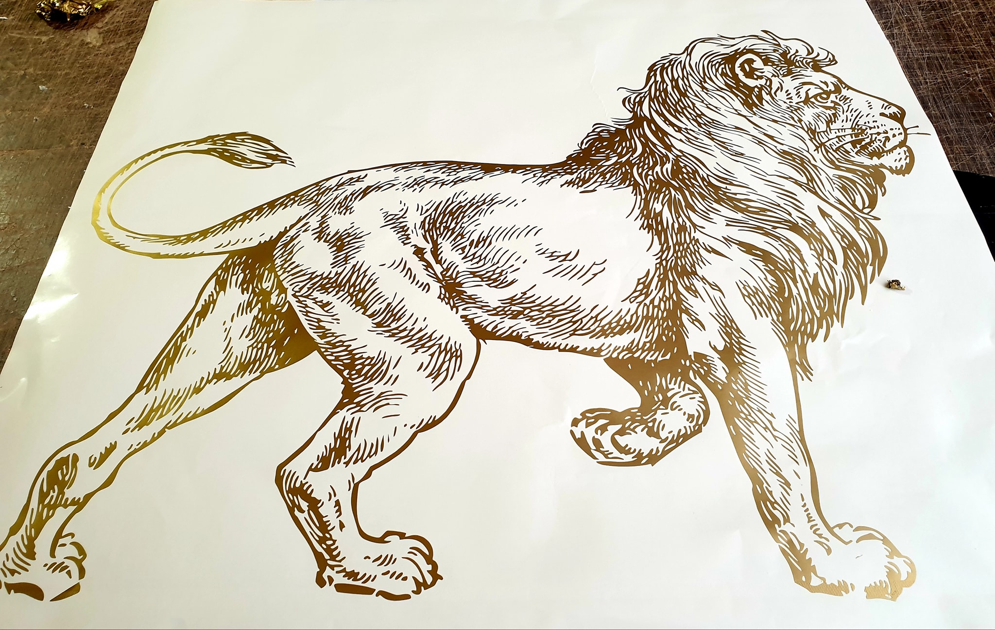 489943658 1493900381594536 1691626297673630019 n