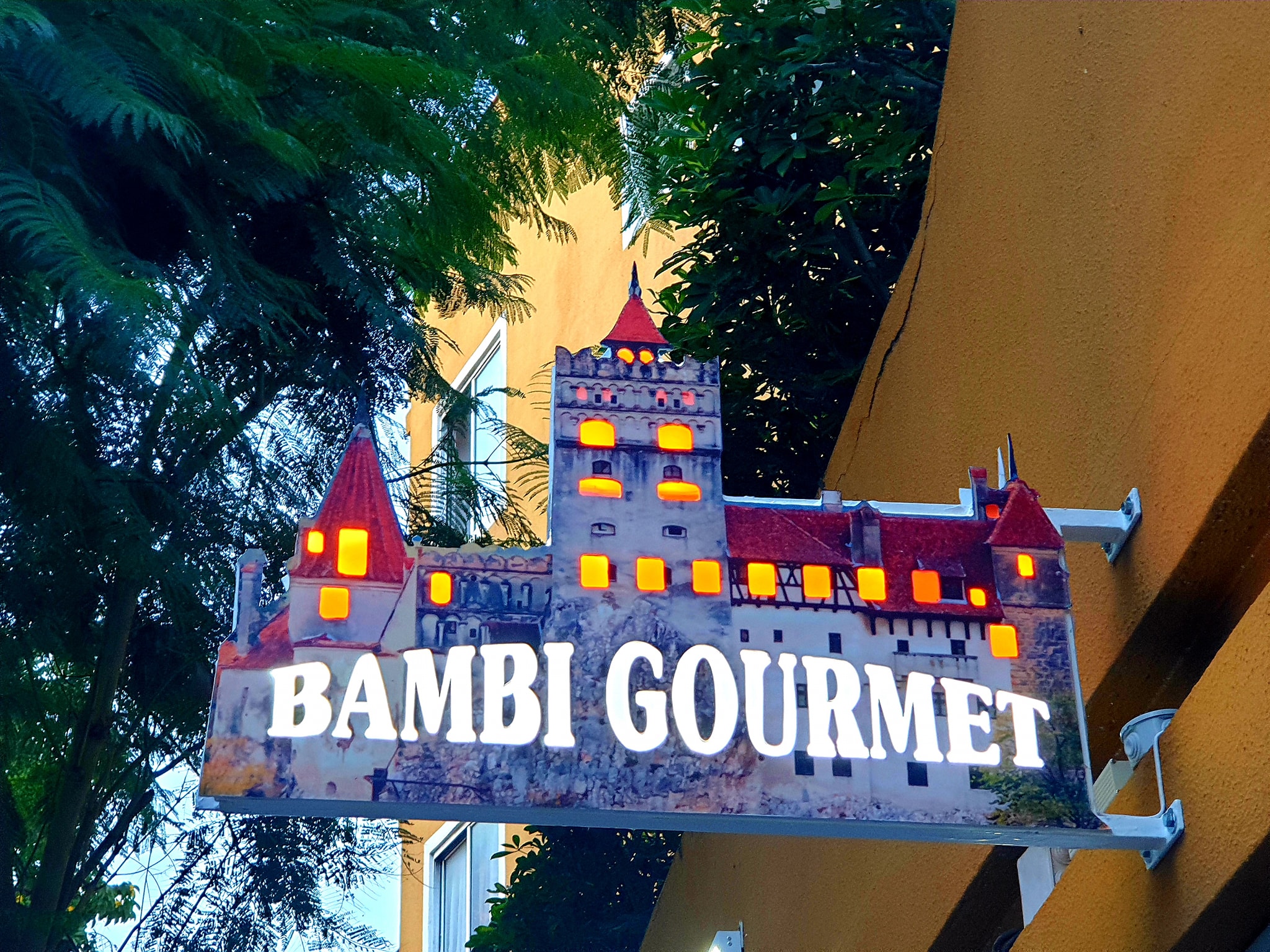 490498291 1497734344544473 4123719766704011042 n