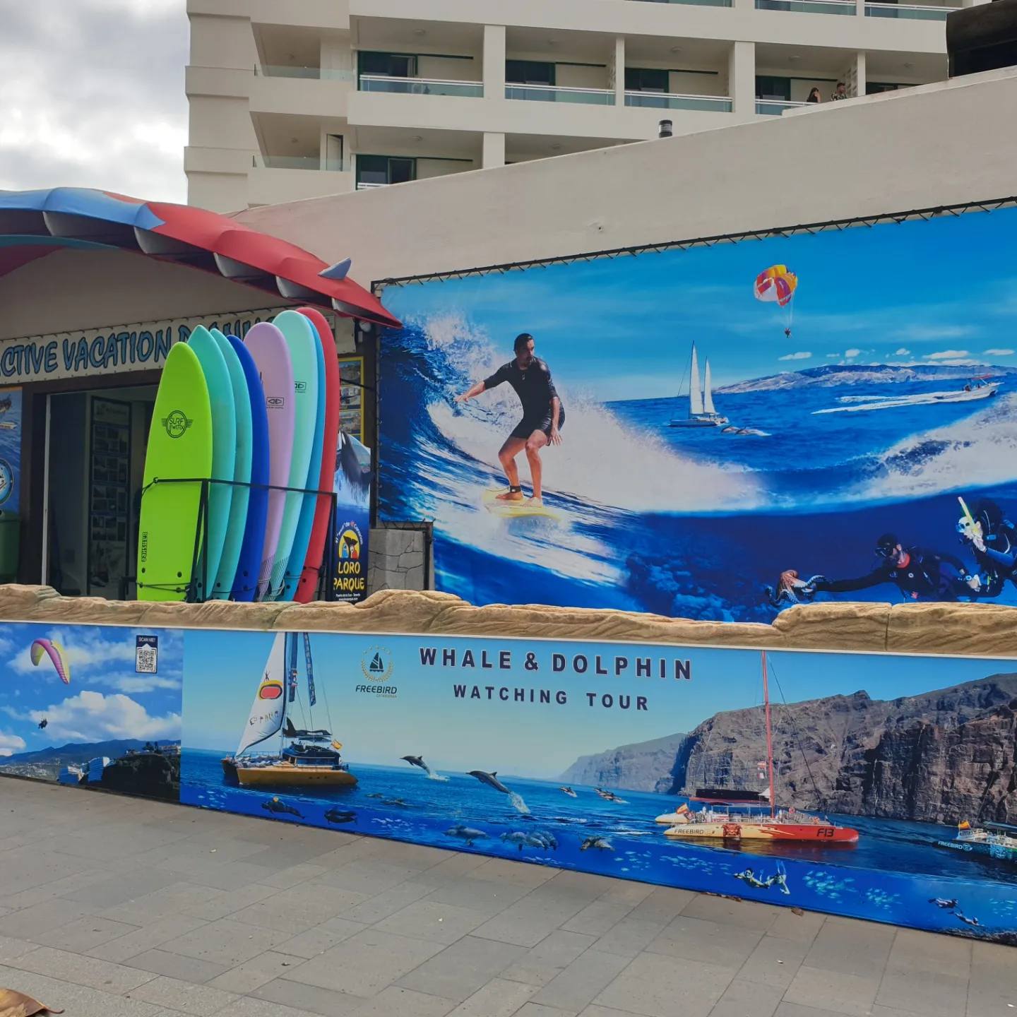 489752271 1493174188333822 9194304277135436657 n