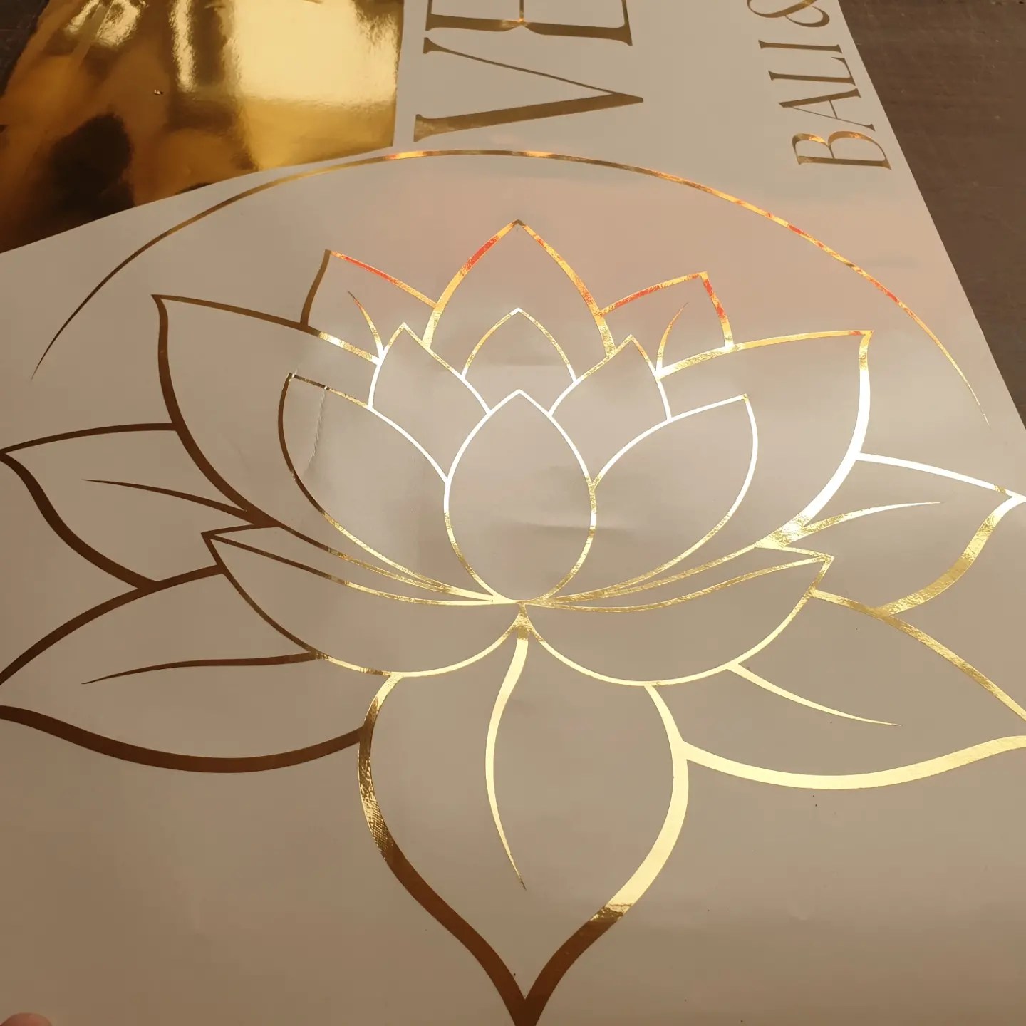 490467804 1495021321482442 611054032891070061 n