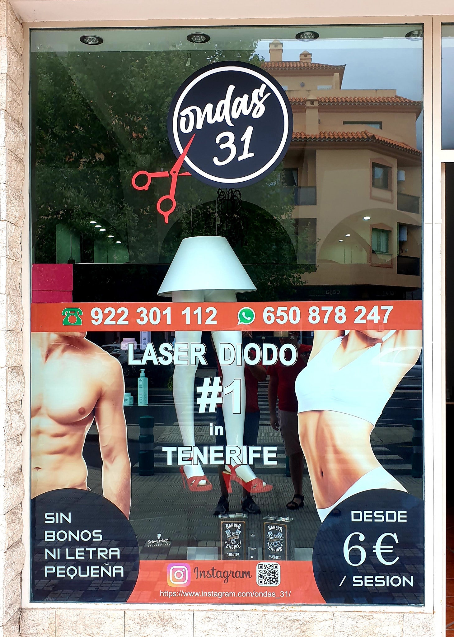 480772391 1452283579089550 6268122291246895036 n