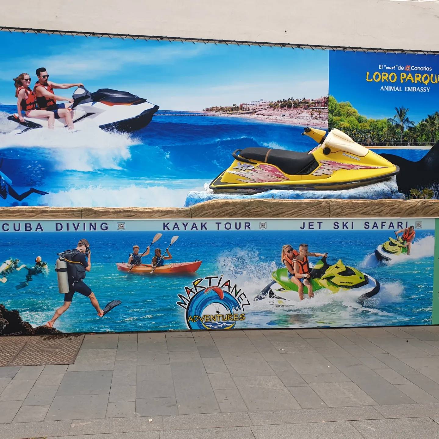 489160034 1493174135000494 8709028655806387176 n