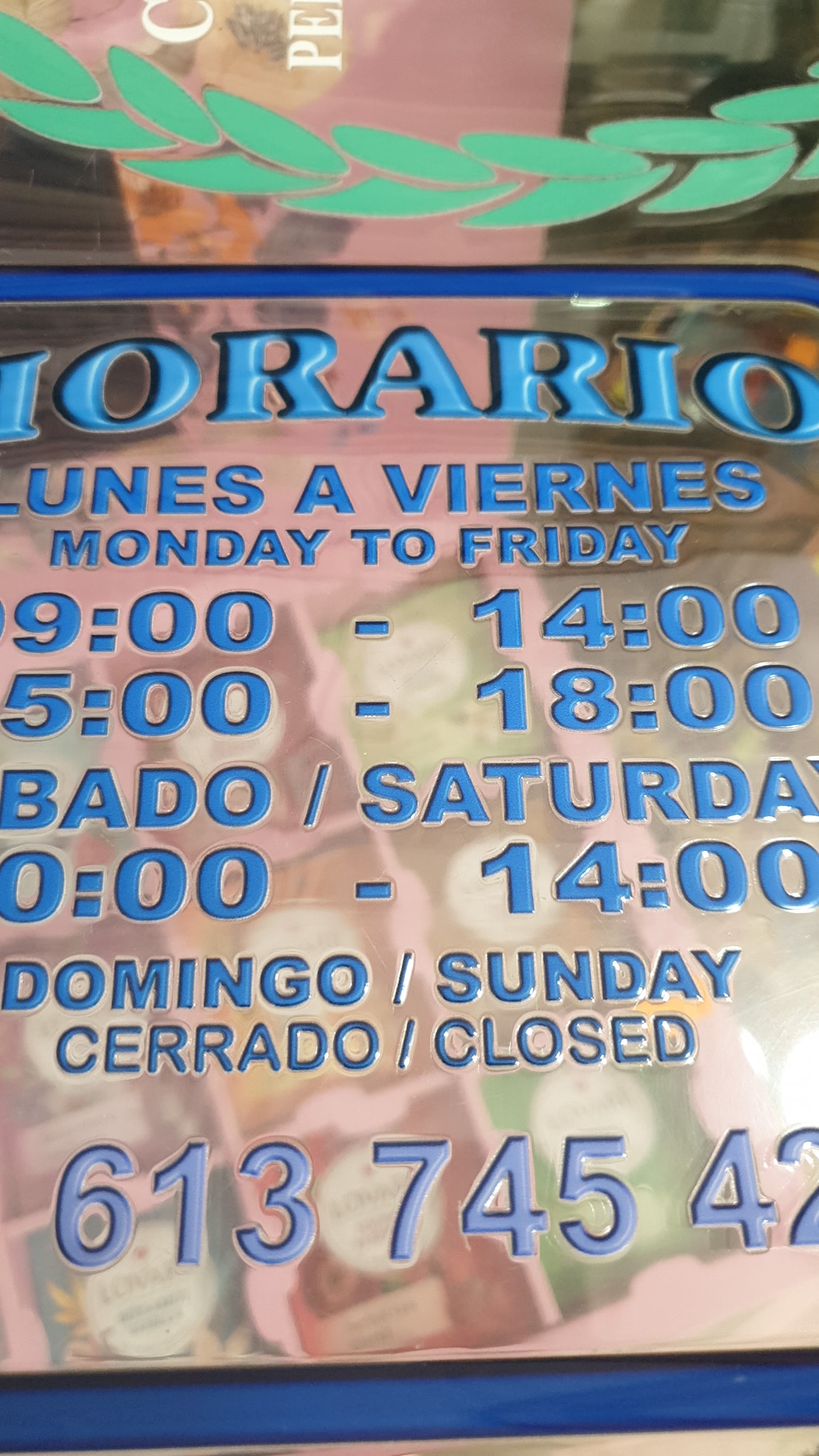 490538964 1494926391491935 429838583279943992 n