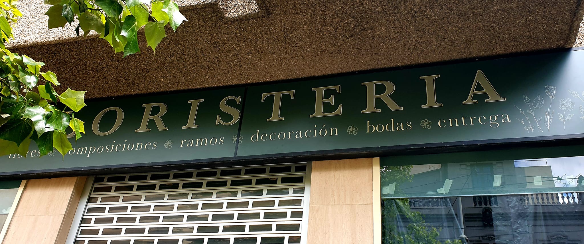 489827325 1493527461631828 8884042544034476351 n