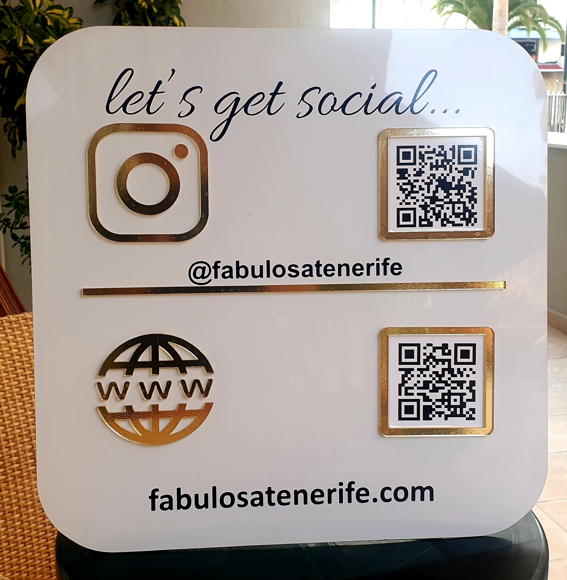 481241465 2015668365511173 2781630687423227487 n