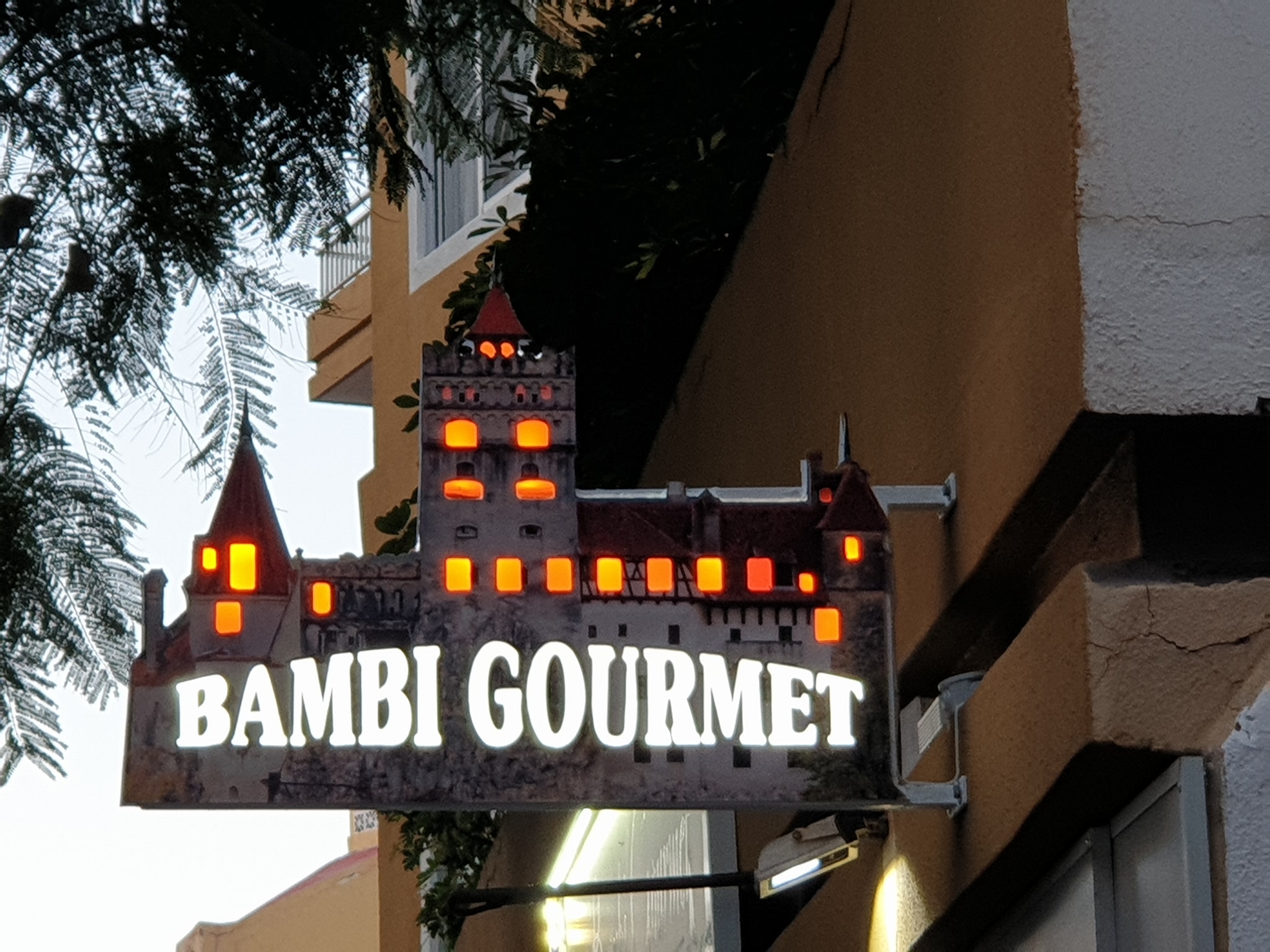 491410142 1497734277877813 4587936004036316297 n