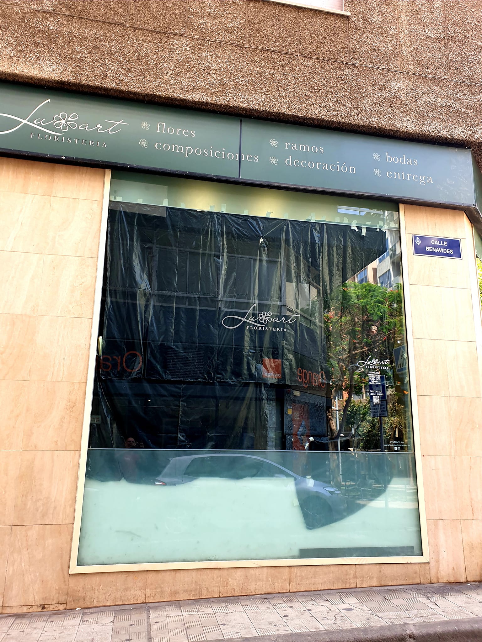 490449537 1493527354965172 462739240583654807 n