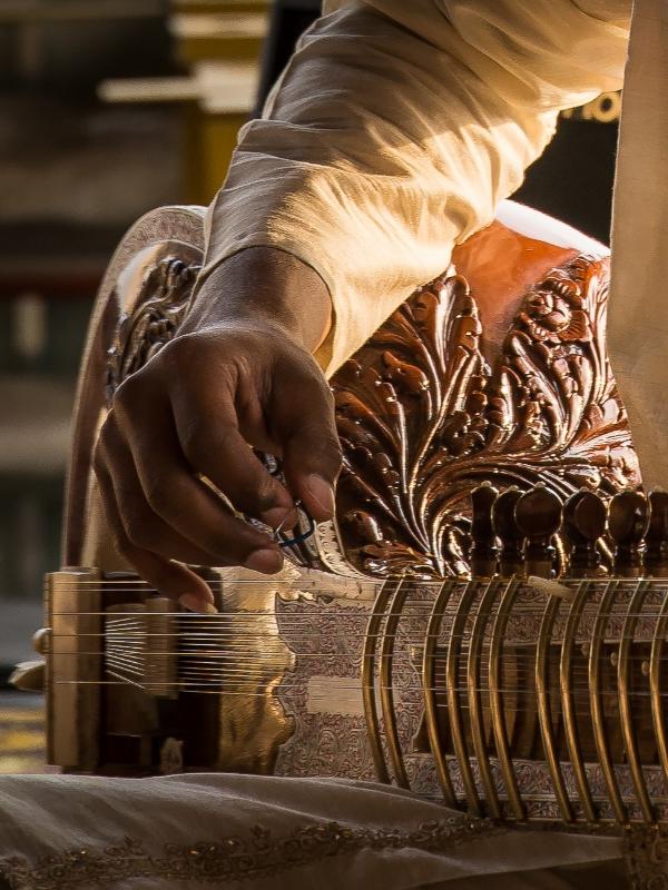 Close-up of sitar strings and body