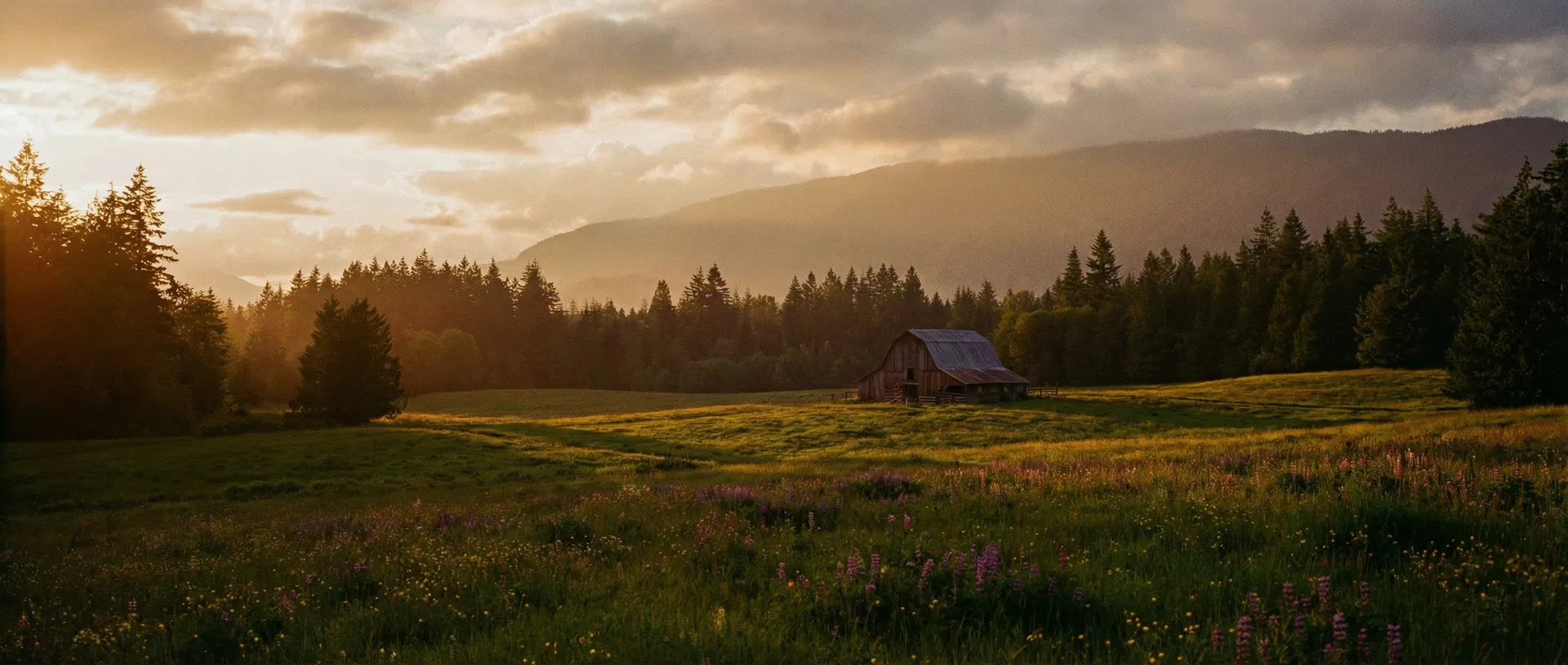 Shaffer Farms at golden hour