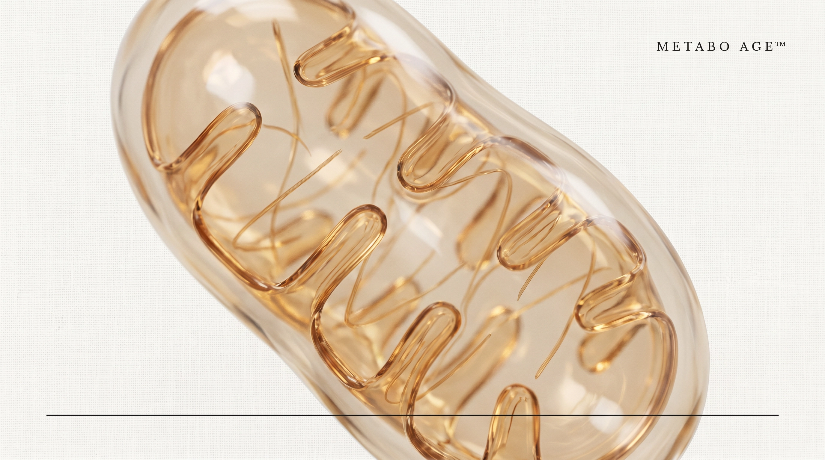 Close-up of human cells with visible mitochondria under fluorescence microscopy